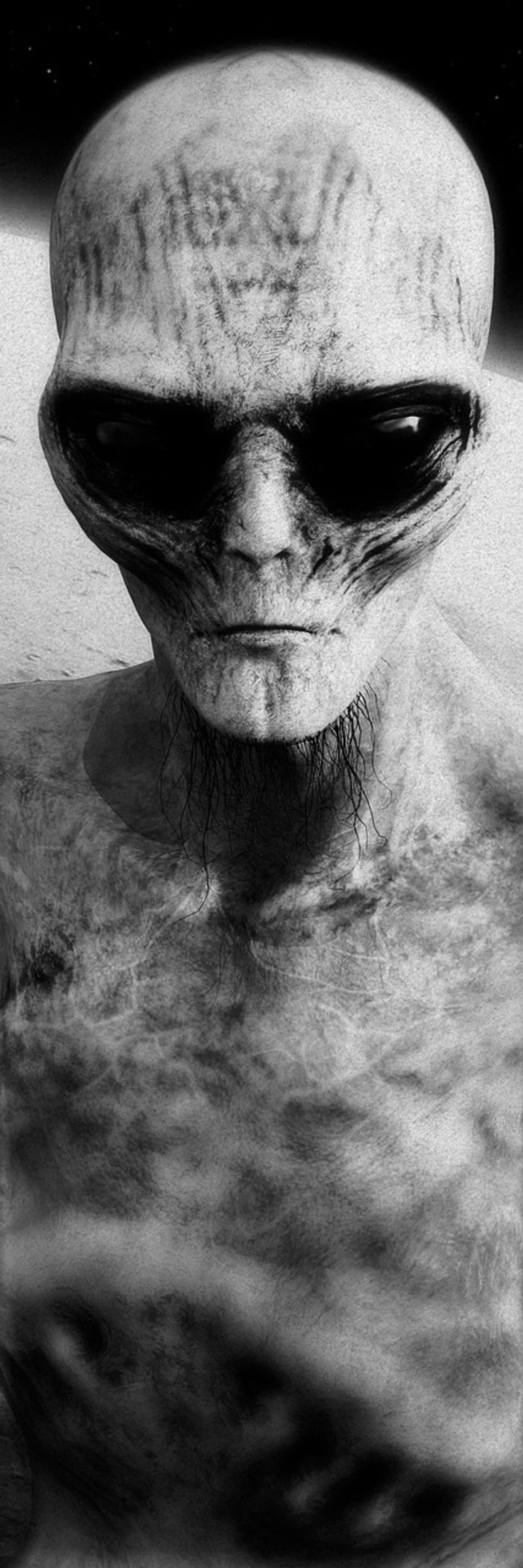 Area 51